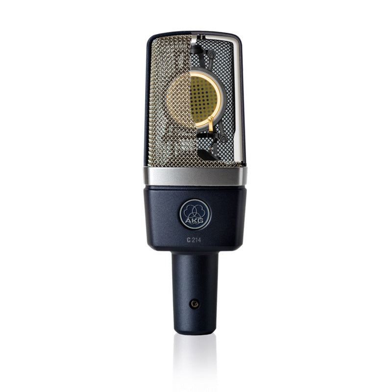 Professional Large-diaphragm Condenser Microphone For Recording K Song