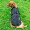 Dog Integrated Cotton Vest