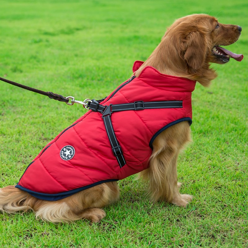 Dog Integrated Cotton Vest