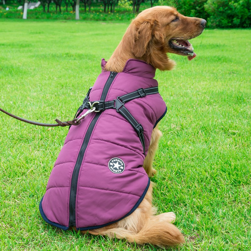 Dog Integrated Cotton Vest