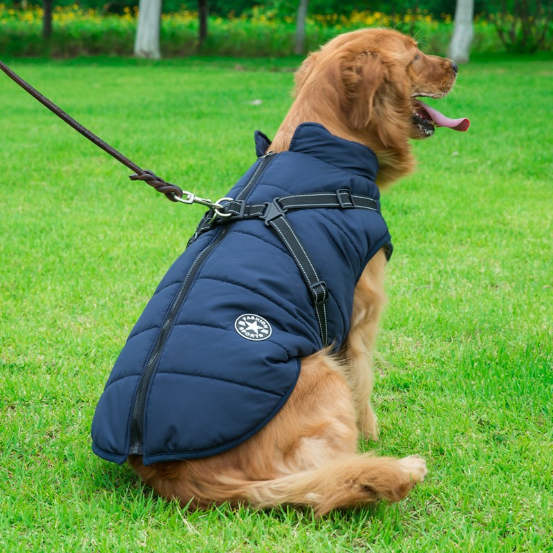 Dog Integrated Cotton Vest