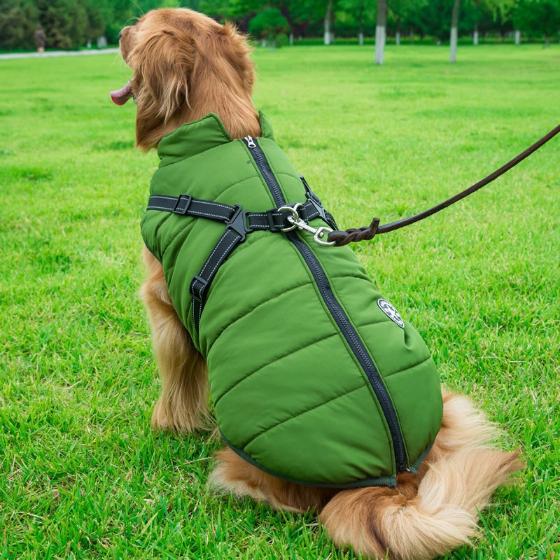 Dog Integrated Cotton Vest