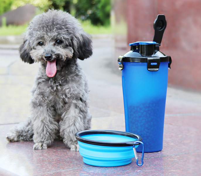 Portable Pet Drinking Silicone Bowl