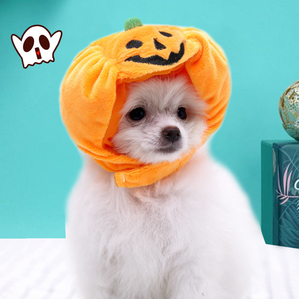 Pet Pumpkin Hat