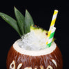 Hawaiian Coconut Ceramic Tiki Personality Cocktail Glass